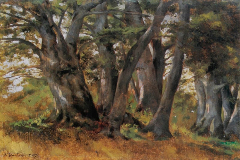 Buchen bei Bernried. by Heinrich Wilhelm Trübner. 1871. Motifs recorded: trees, forest, bäume, wald, tree, green, grün, grass.