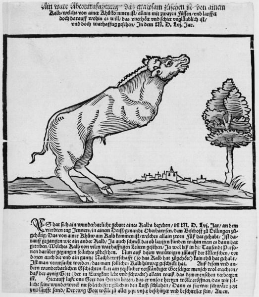 Ain ware Abcontrafytung/ das grawsam zusehen ist. 1556. Motifs recorded: baum, druck, beine, kuh, stadt, text, dorf, wiese.