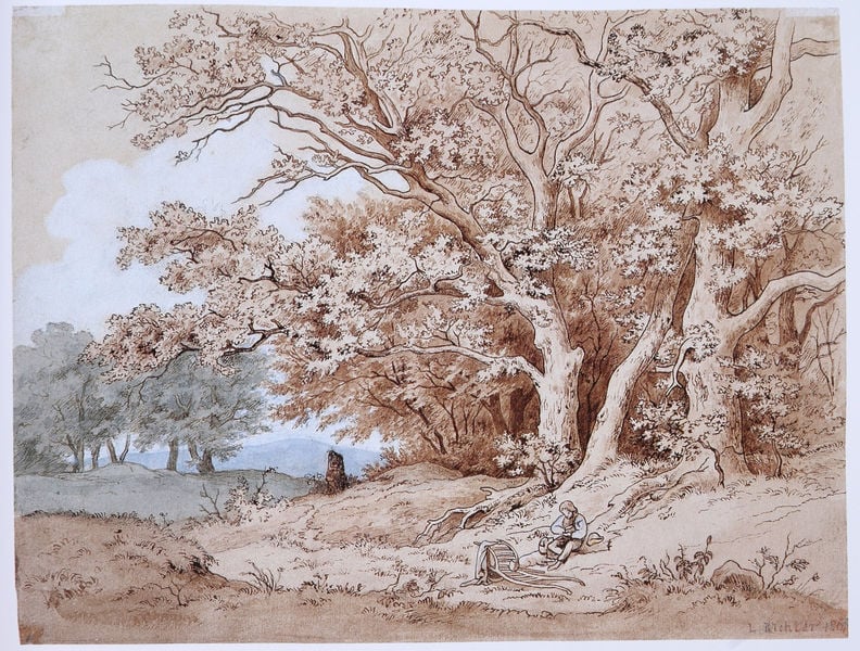 Der Große Garten bei Dresden. by Adrian Ludwig Richter. 1861. Motifs recorded: bäume, wiese, wald, himmel, karren, rast, junge, weg.