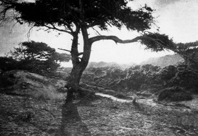 ""Der Lange Arm"". by George Davison. 1907. Motifs recorded: baum, foto, schatten, licht, landschaft, wald, sonne, wiese.