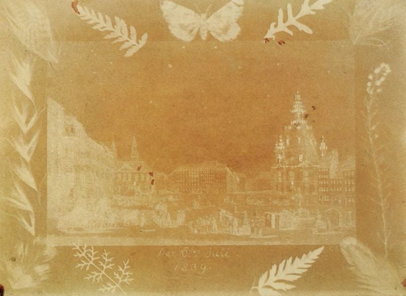 Ansicht des marktes von Dresden. by Johann Carl Enslen. 1839. Motifs recorded: schmetterling, stadt, negativ, blätter, kirche, papillon, häuser, ville.