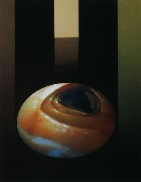 Corps étranger. by Mona Hatoum. 199. Motifs recorded: auge, schwarz, grün, blau, braun, rund, streifen, foto.