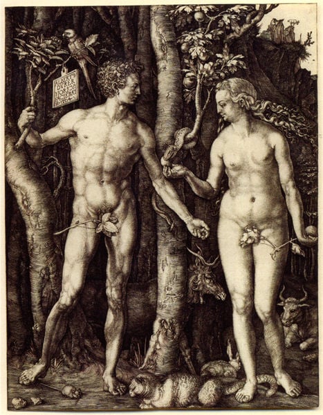 Adam und Eva. by Albrecht Dürer. 1504. Motifs recorded: eva, adam, schlange, paradies, baum, nackt, apfel, tiere.