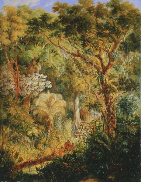 Brasilianischer Urwald mit Figurengruppe. by Johann Moritz Rugendas. 1830. Motifs recorded: urwald, bäume, baum, wald, grün, dschungel, menschen, blätter.