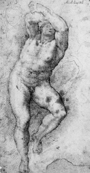 Aktdarstellung. by Taddeo Zuccari. 1550–1551. Motifs recorded: zeichnung, mann, körper, michelangelo, nackt, arme, muskeln, akt.