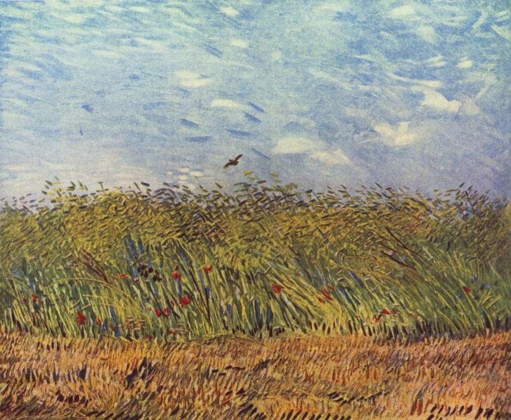 Getreidefeld mit Mohnblumen und Lerche. by Vincent van Gogh. 1887. Motifs recorded: feld, vogel, himmel, mohn, getreide, blumen, van gogh, grün.