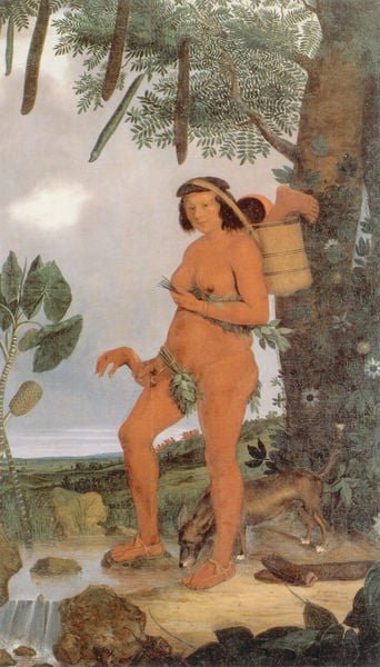 Tapuya-Indianerin. by Albert Eckhout. 1646–1653. Motifs recorded: fuß, hund, nackt, hand, frau, fluss, baum, korb.