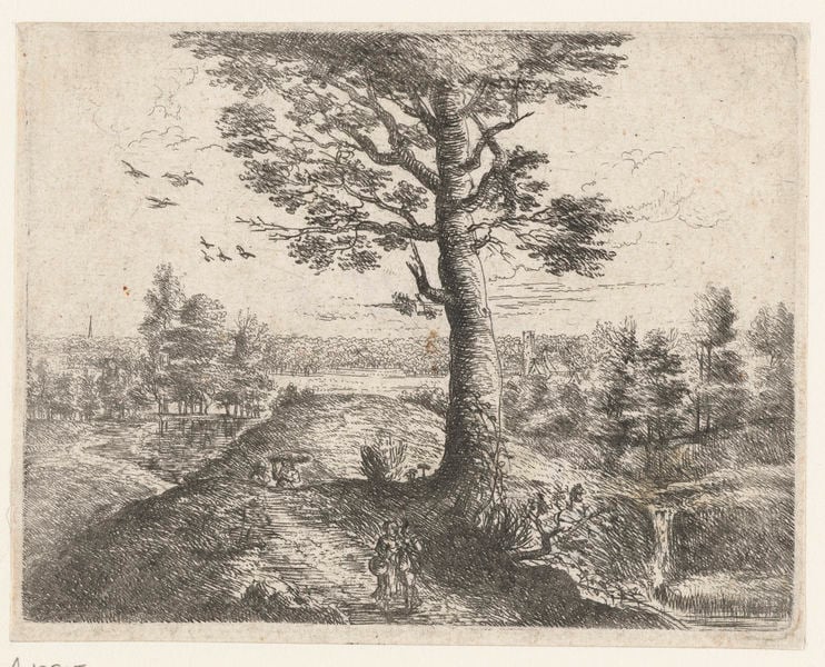 Landschap met een wandelend paar. by Philips Augustijn Immenraet. 1637–1679. Motifs recorded: landscape, tree, tranquility, rural life, grass, Representation of harmony between humans and nature, nature, countryside.