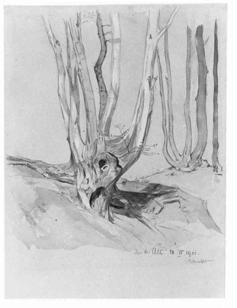 An der Alb. by Alexander Kanoldt. 1901. Motifs recorded: tree, trees, drawing, branches, black and white, white, grey, black.