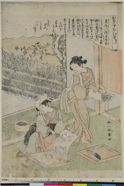 Anleitung zur Seidenraupenzucht Blatt 1. by Katsukawa Shunsho. 1770–1780. Motifs recorded: farbholzschnitt, two women, woodblock print, druckerzeugnisse, manual labor, seidenherstellung, seidenspinner, frau heim arbeit.