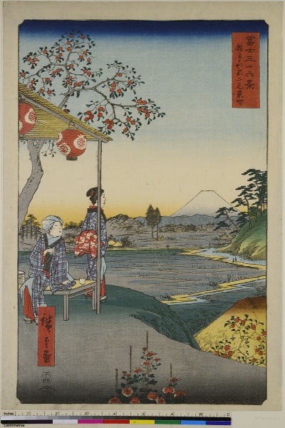 Aussicht auf den Fuji aus einem Teehaus in Zoshigaya, Blatt 9 aus der Serie: 36 Ansichten des Fuji. by Utagawa Hiroshige. 1858. Motifs recorded: volcano, farbholzschnitt, gasthaus, berge, bridge, gebirge, kaffeehaus, lanterns.