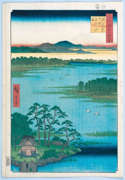 100 berühmte Ansichten von Edo. by Utagawa Hiroshige. 1856–1858. Motifs recorded: haus, wasser, brücke, bäume, landschaft, vögel, grün, blau.
